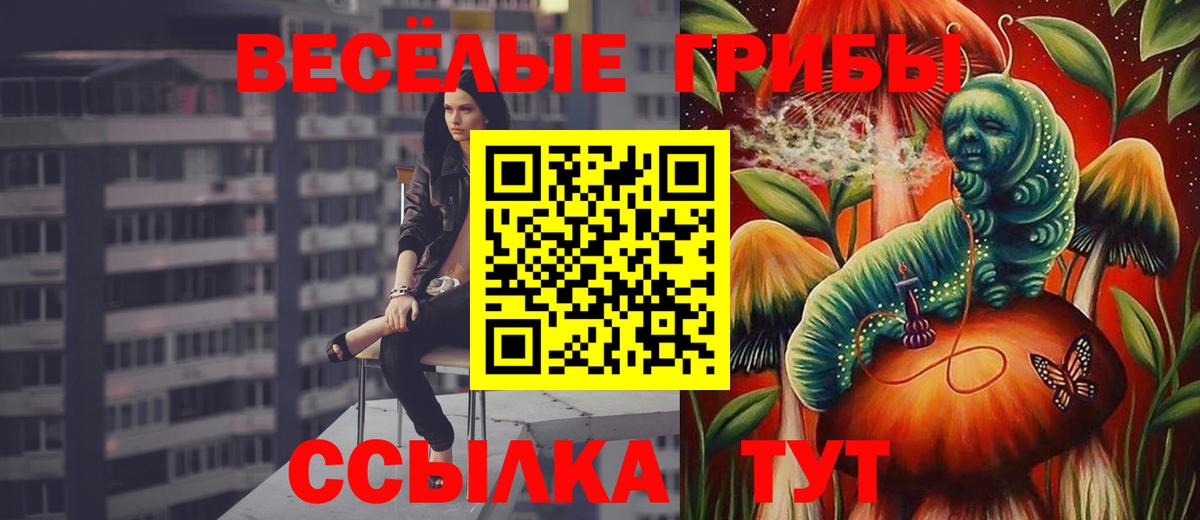 Псилоцибиновые грибы мухоморы  Псилоцибиновые грибы мицелий  Кувандык  Вход с VPN 