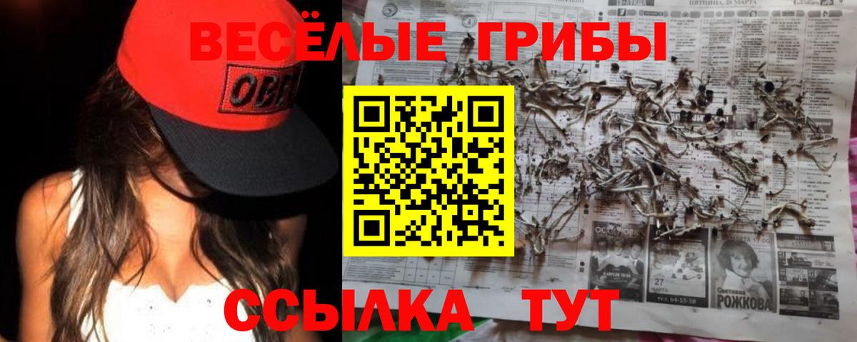 Псилоцибиновые грибы мицелий Кувандык